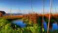 /album/inle-lake/inle-11-01-jpg/